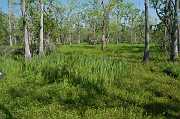 New Orleans 04-08-06 124